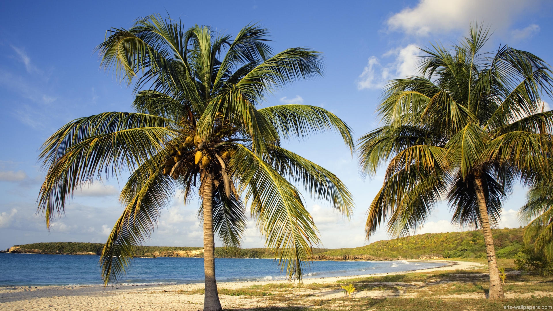 Red Beach Vieques Puerto Rico Newhairstylesformen2014