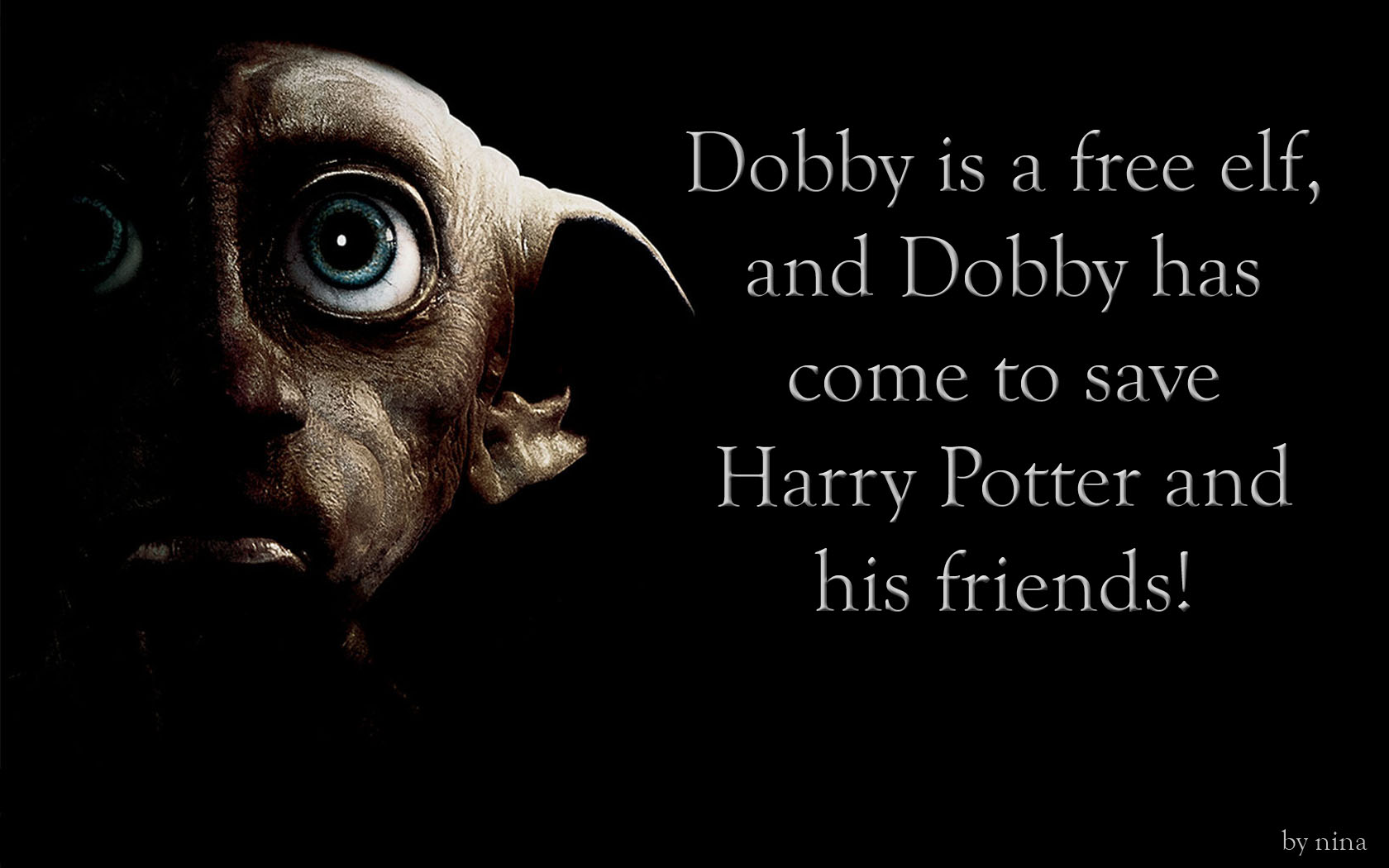 Dobby Un Elfo Libre Fondos De Pantalla Fotos