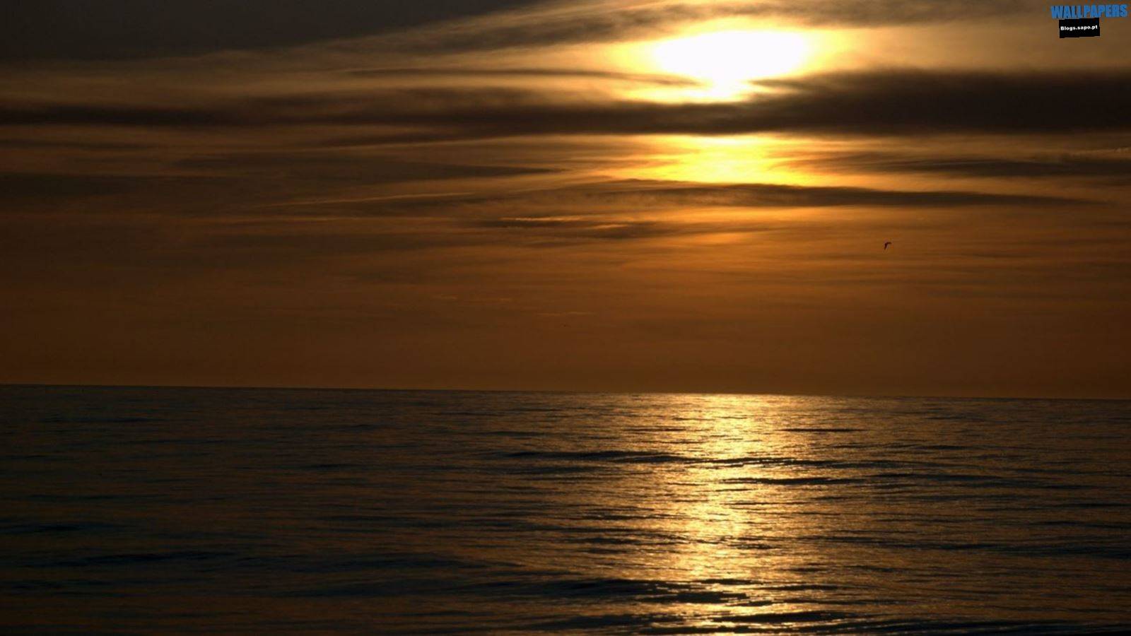 Dark sunset beach wallpaper 1600215900 Wallpaper 29 HD for