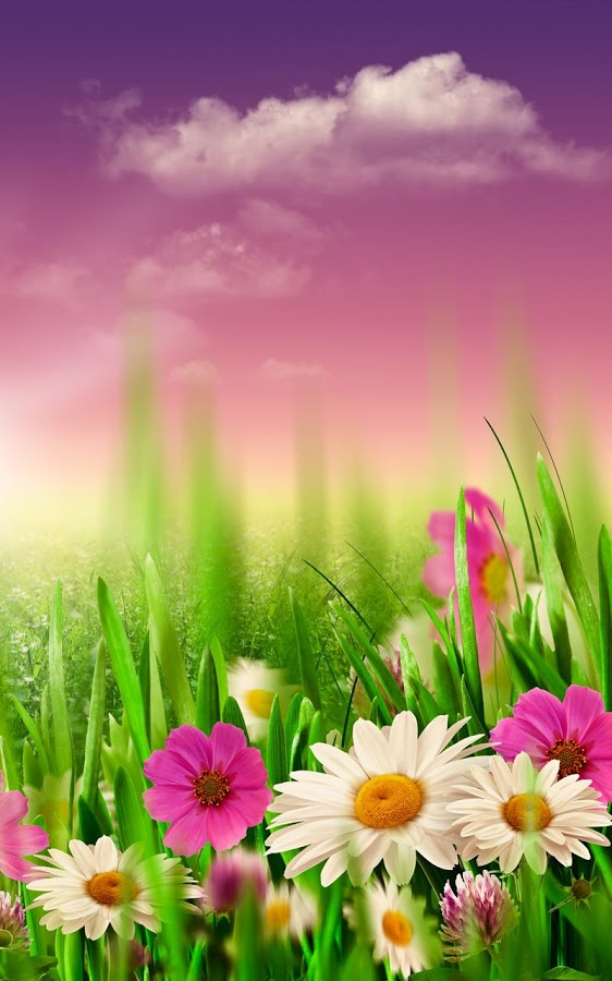 Spring Meadow Live Wallpaper Android Apps On Google Play