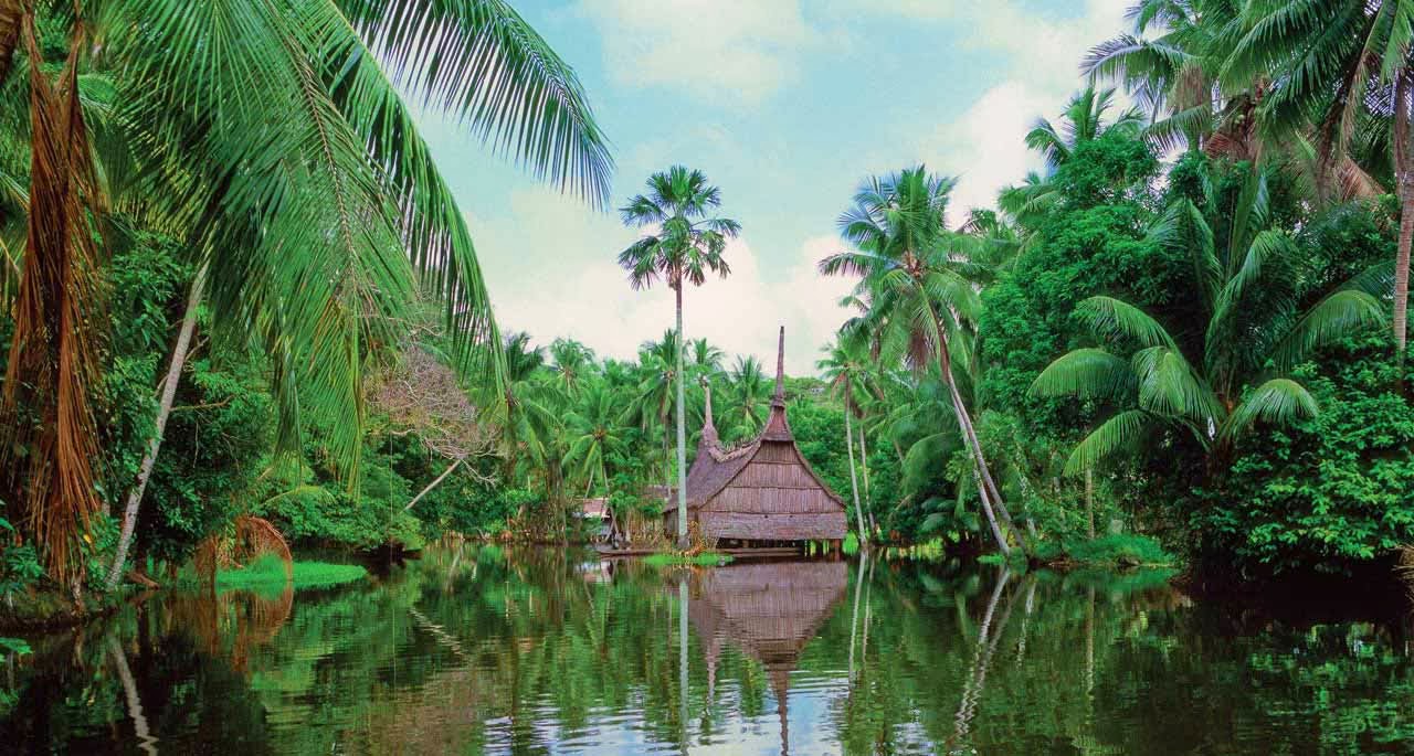 Papua Wallpaper