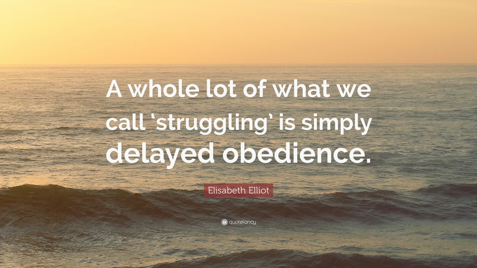 Elisabeth Elliot Quote A Whole Lot Of What We Call Struggling