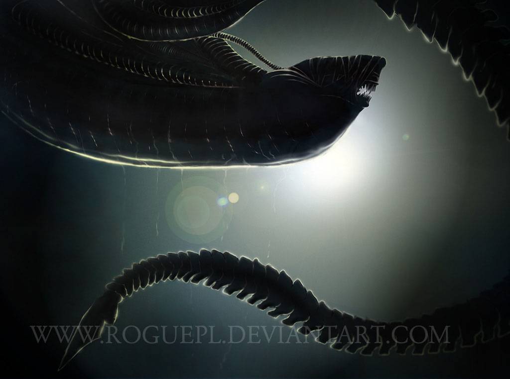 Alien Wallpaper HD By Roguepl