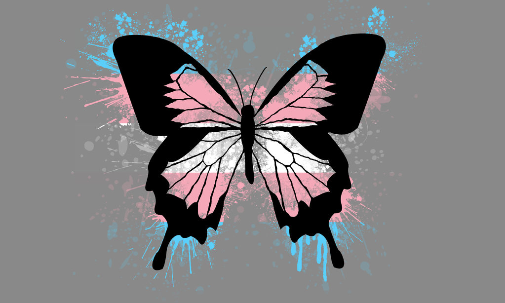 Transgender Butterfly Pride Wallpaper By Amybluee42 On