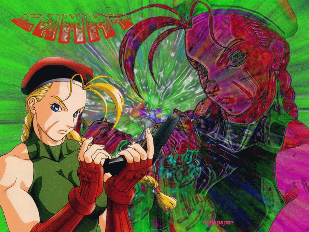 Cammy Wallpaper Resolution 76s Image Size 19k
