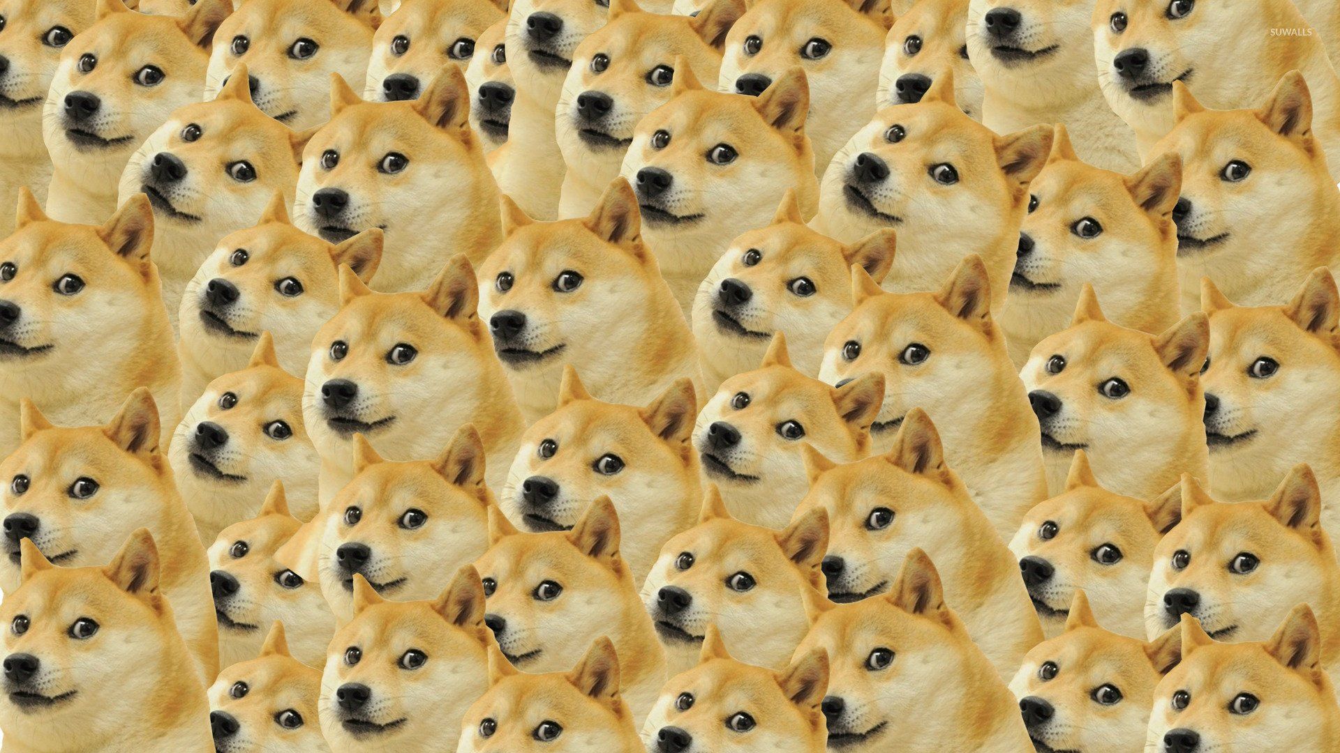 Dode Meme Wallpaper