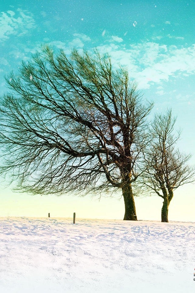 Winter Wallpaper HD For iPhone Green Sky And Snow