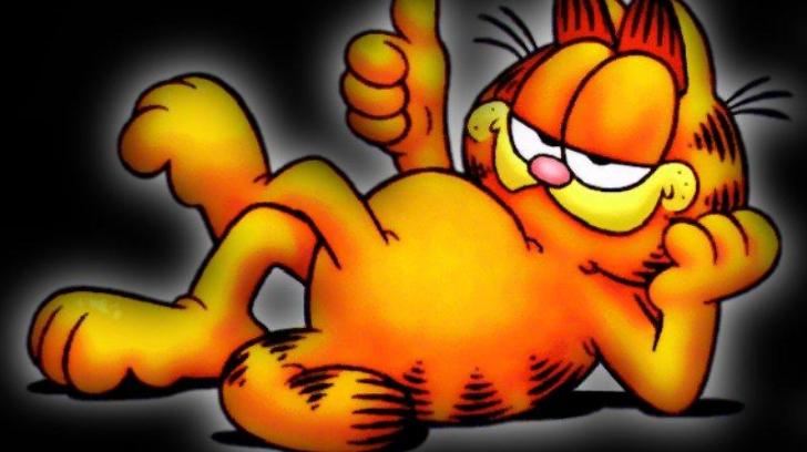 Garfield High Quality And Resolution Wallpaper On