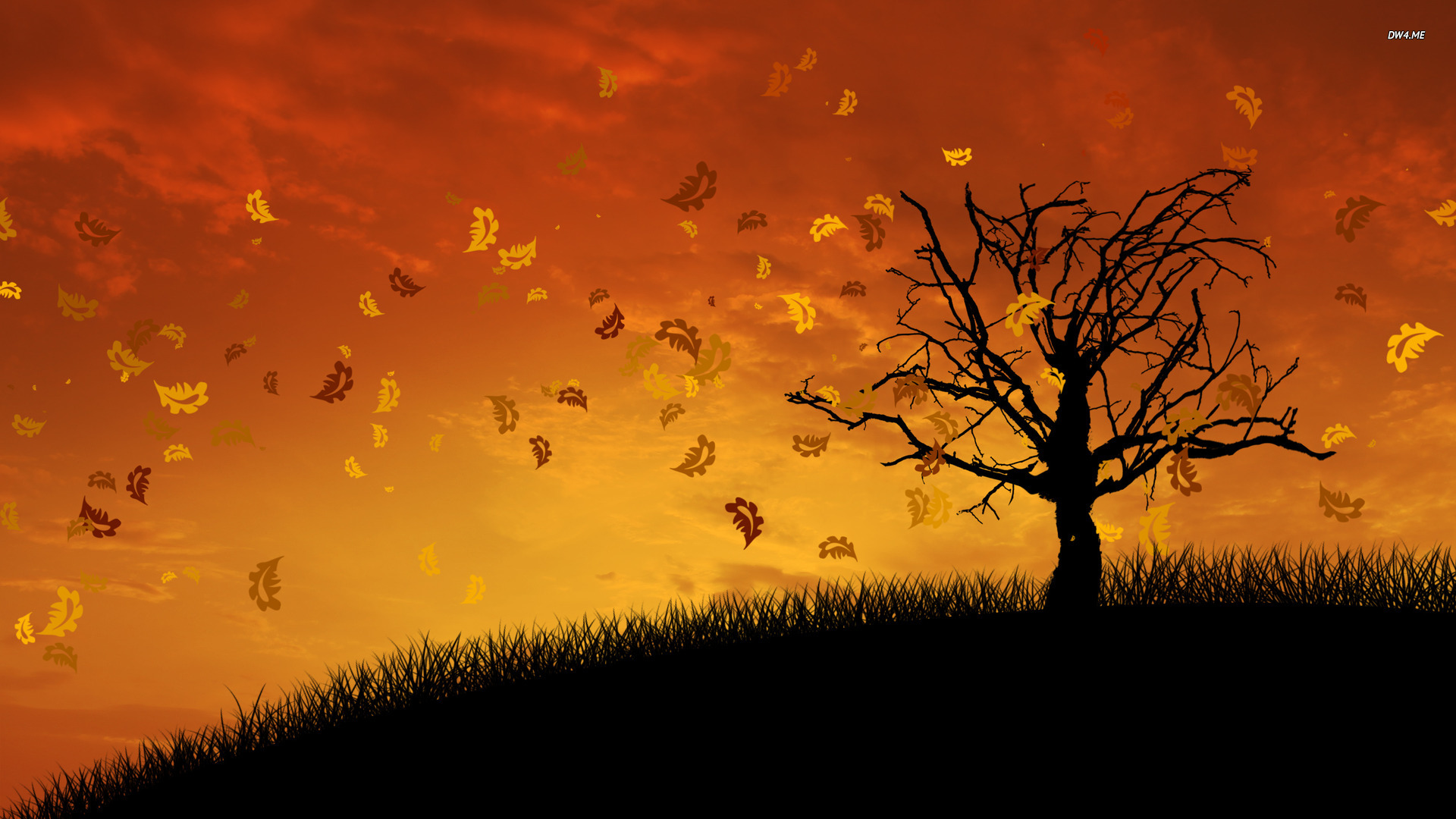 Autumn Desktop Wallpaper