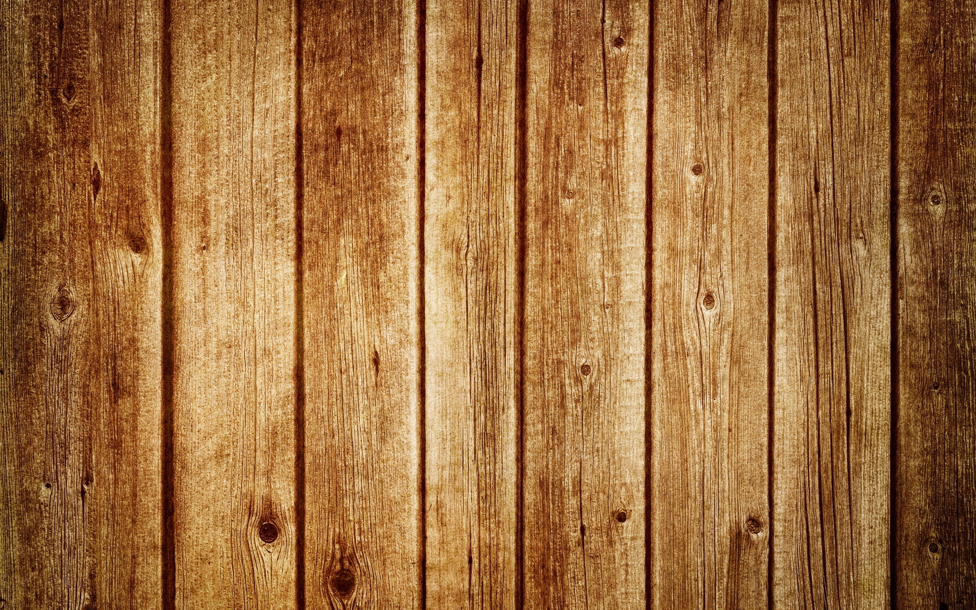 Board Wood Tree Macro HD Wallpaper