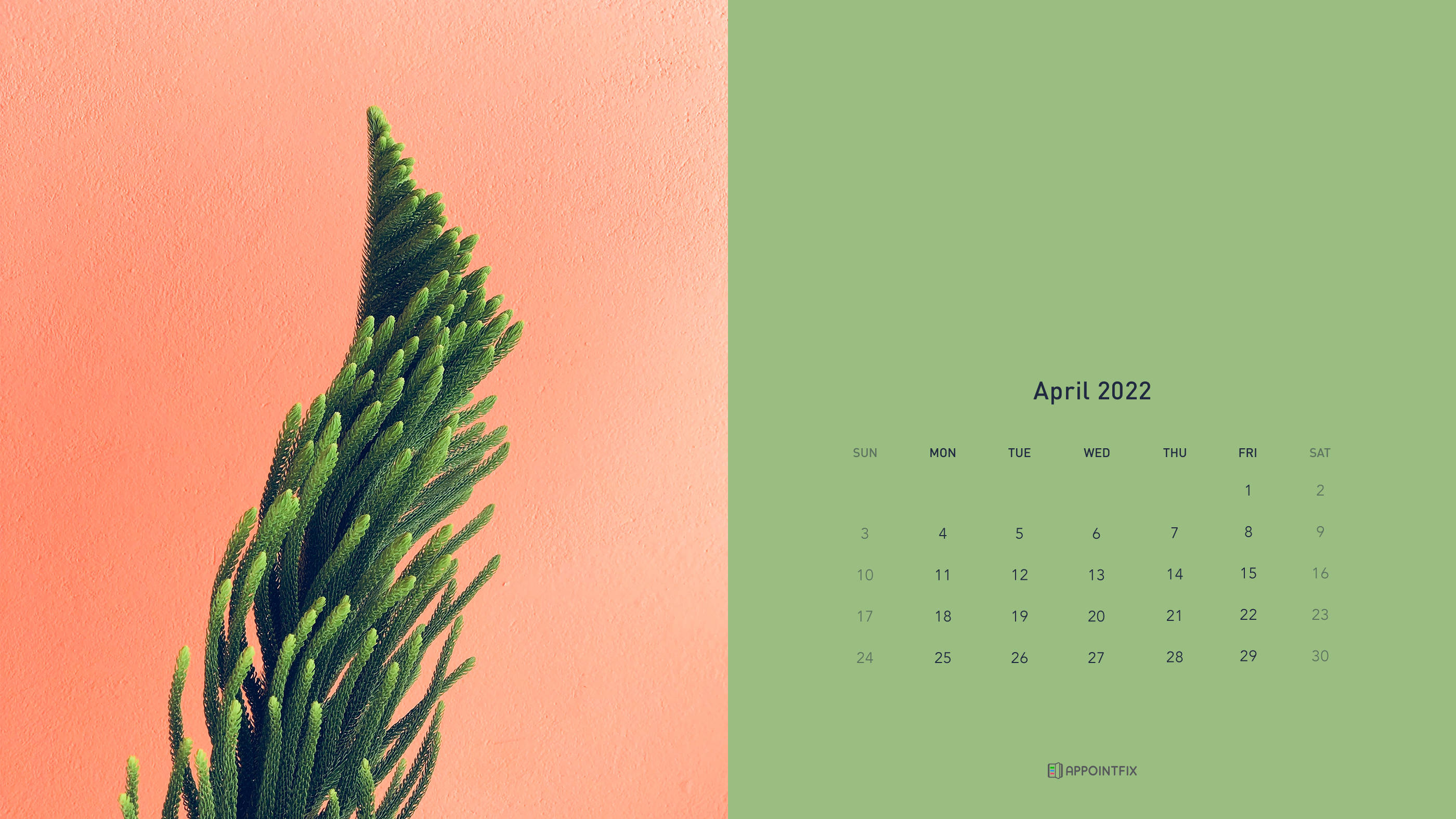 Pink And Green April Calendar Wallpaper