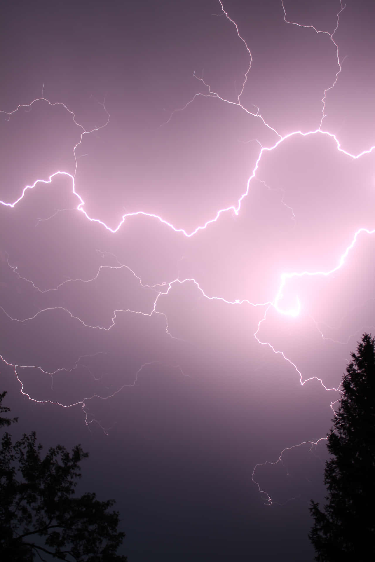 Purple Lightning Wallpaper