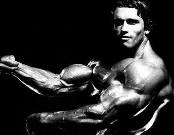 Arnold Schwarzenegger Conquer iPhone Wallpaper