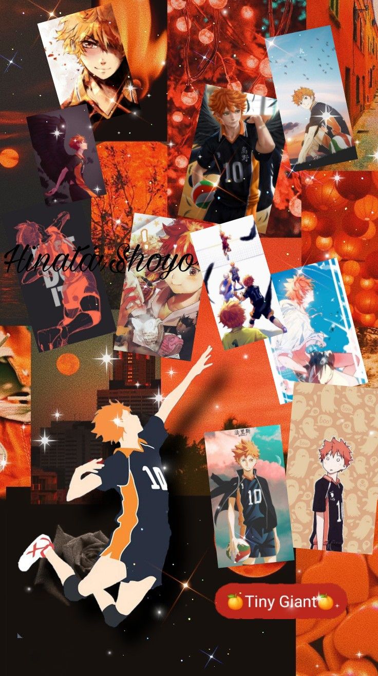 Hinata Shoyo Wallpaper