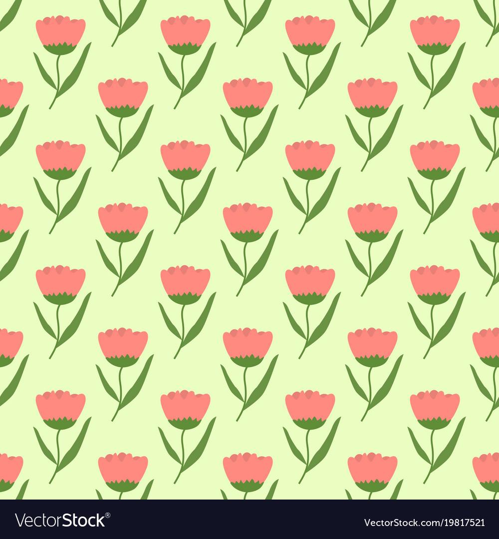 Peach tulip flowers with a light green base spring
