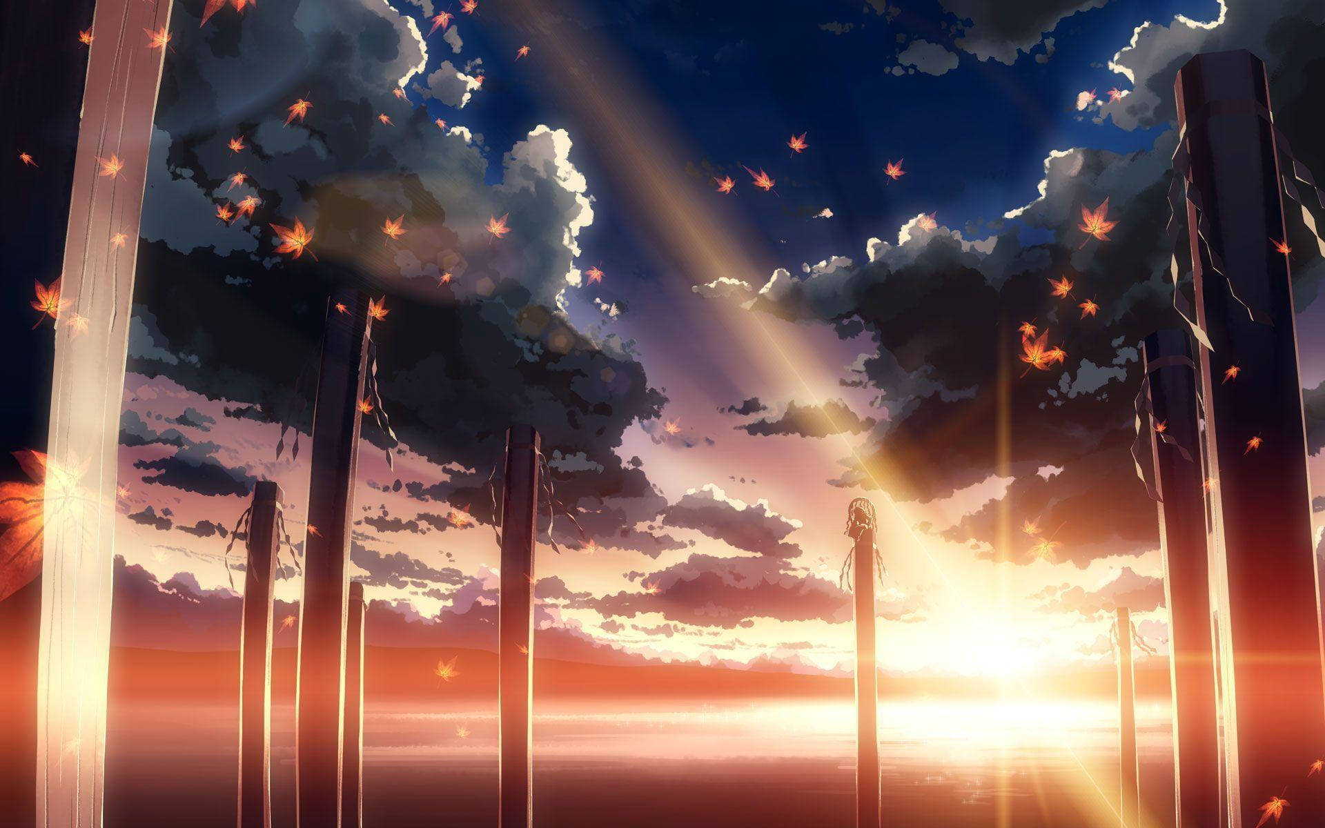 Centimeters Per Second Wallpaper