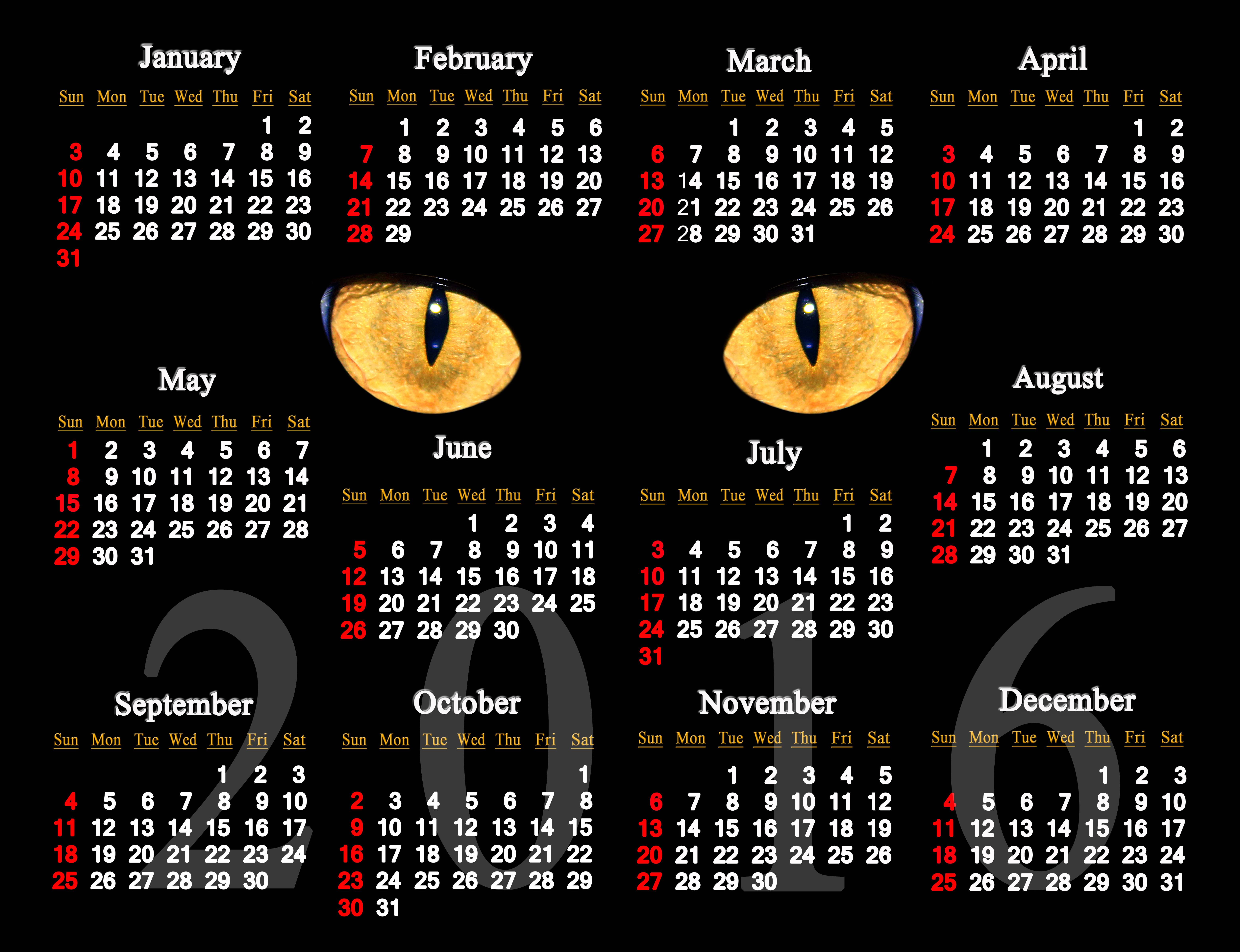 Year Calendar Wallpaper HD Image Of New