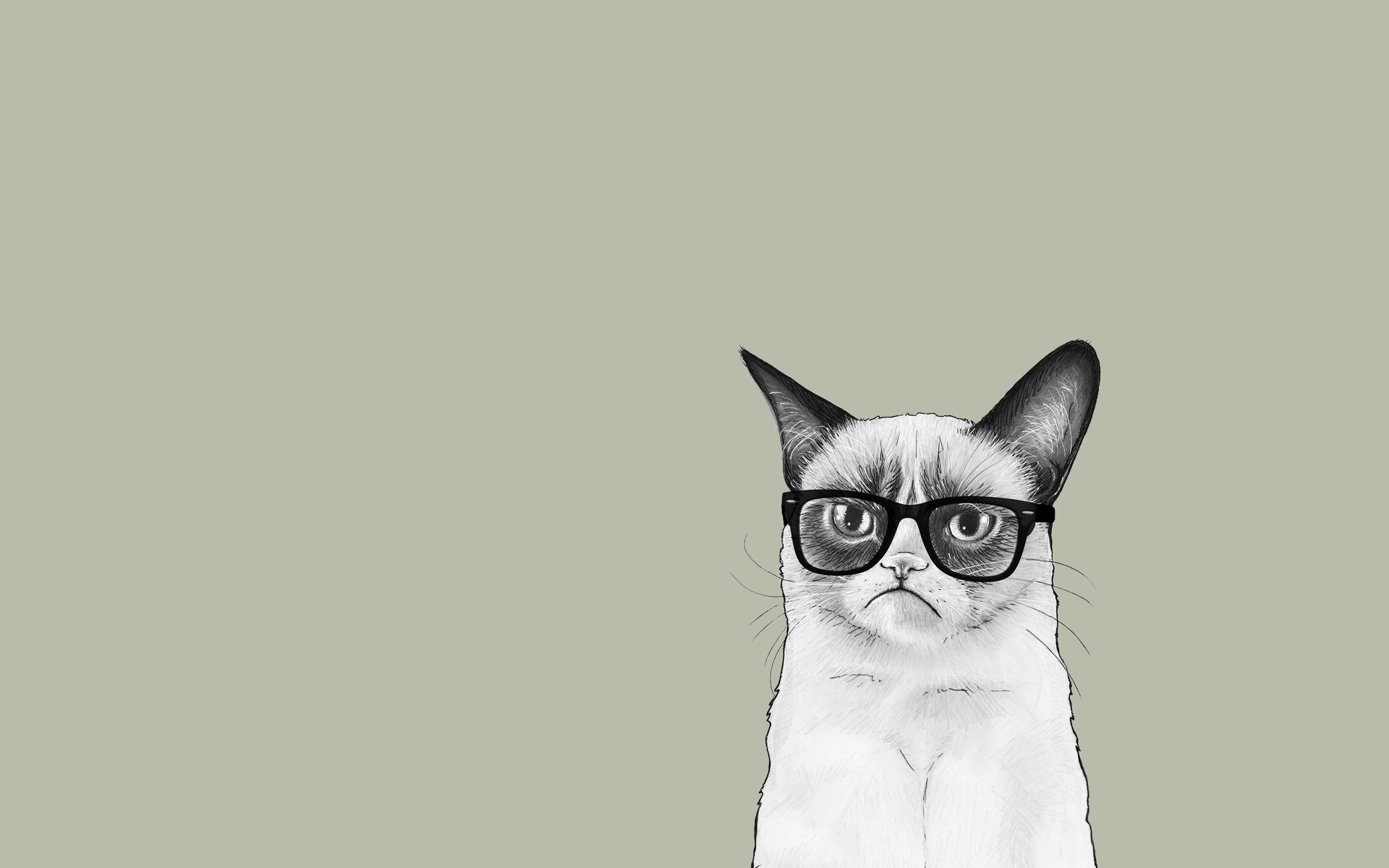Art Cat Monotype Glasses Disfort Minimalist Wallpaper