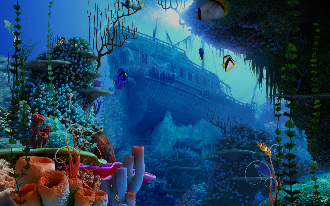 Coral Reef 3d Screensaver Software Full Version HD