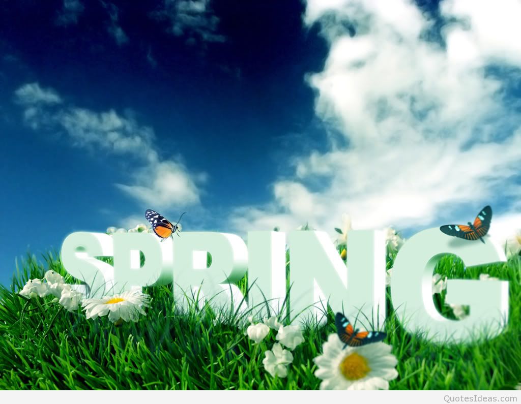 First Day Of Spring Wallpaper HD