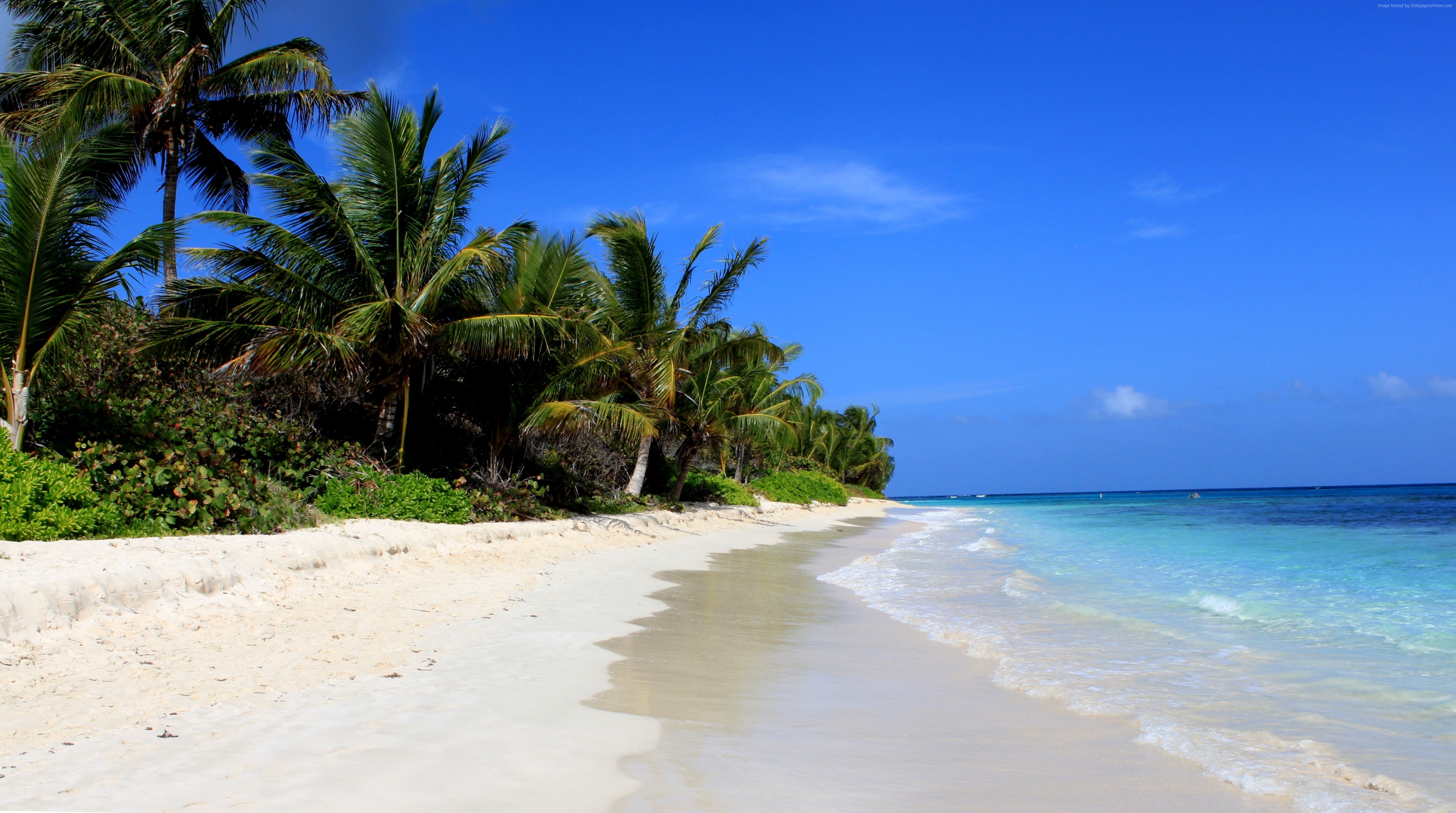 4K Beach Wallpaper: Pristine white sand beach with crystal clear turquoise water and palm trees under a vibrant blue sky