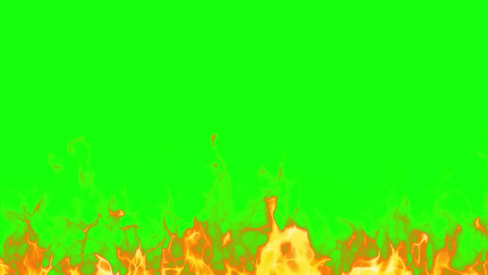 Green Screen Wallpaper
