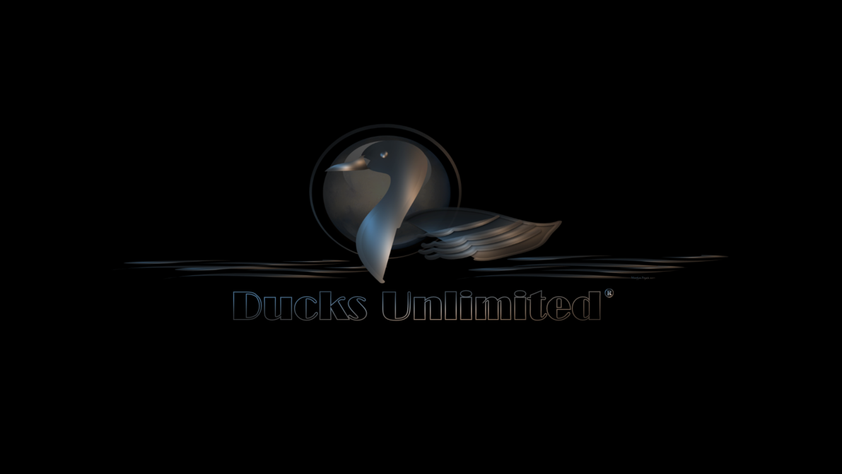 Ducks Unlimited By Merrdyn