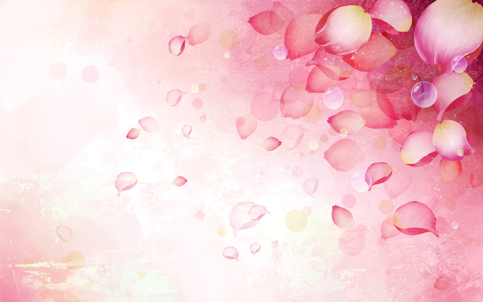 Pink Rose Ppt Background