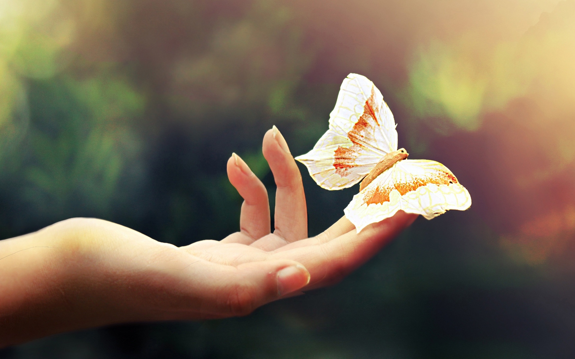 Butterfly In Her Hand Wallpaper And Stock Photos