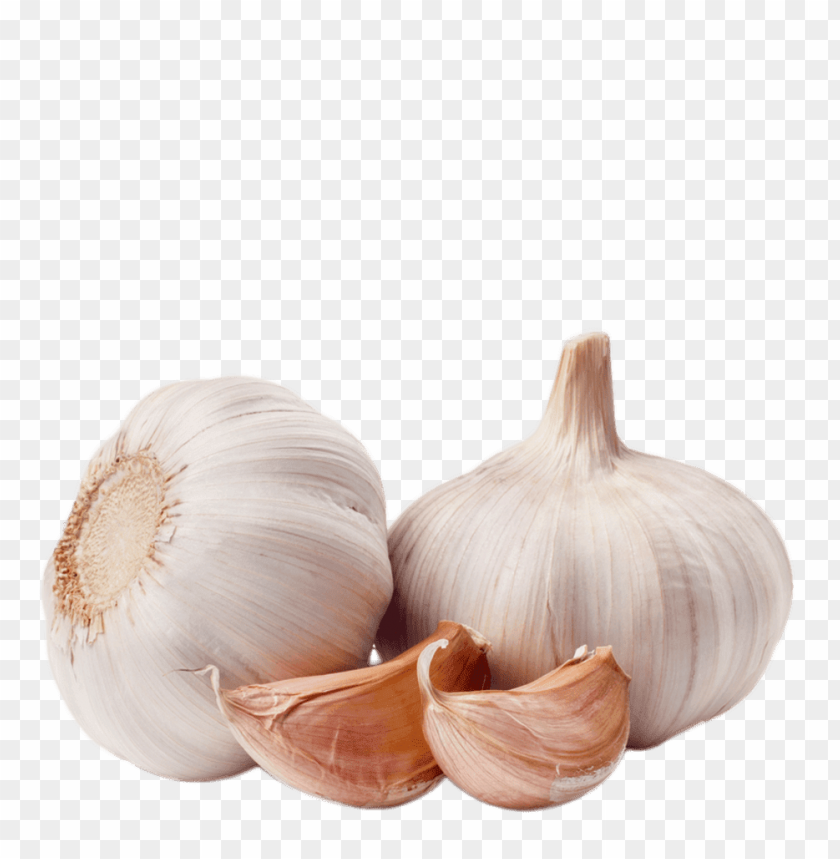 Garlic Png Image With Transparent Background Toppng