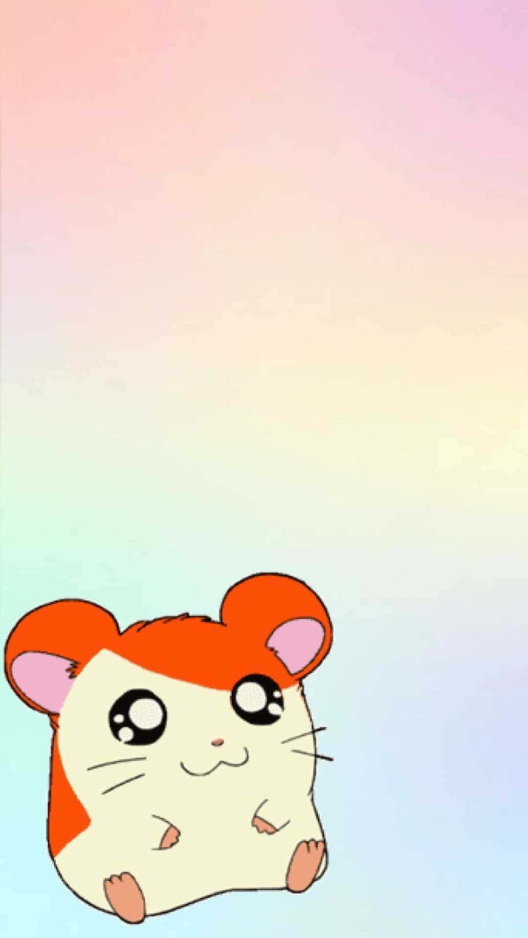 Hamster Zkk63y4myqqgo8yl Wallpaper