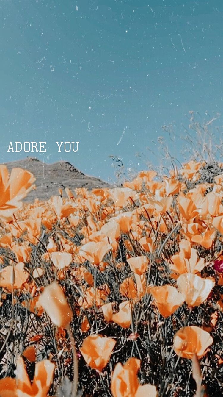 Harry Styles Wallpaper