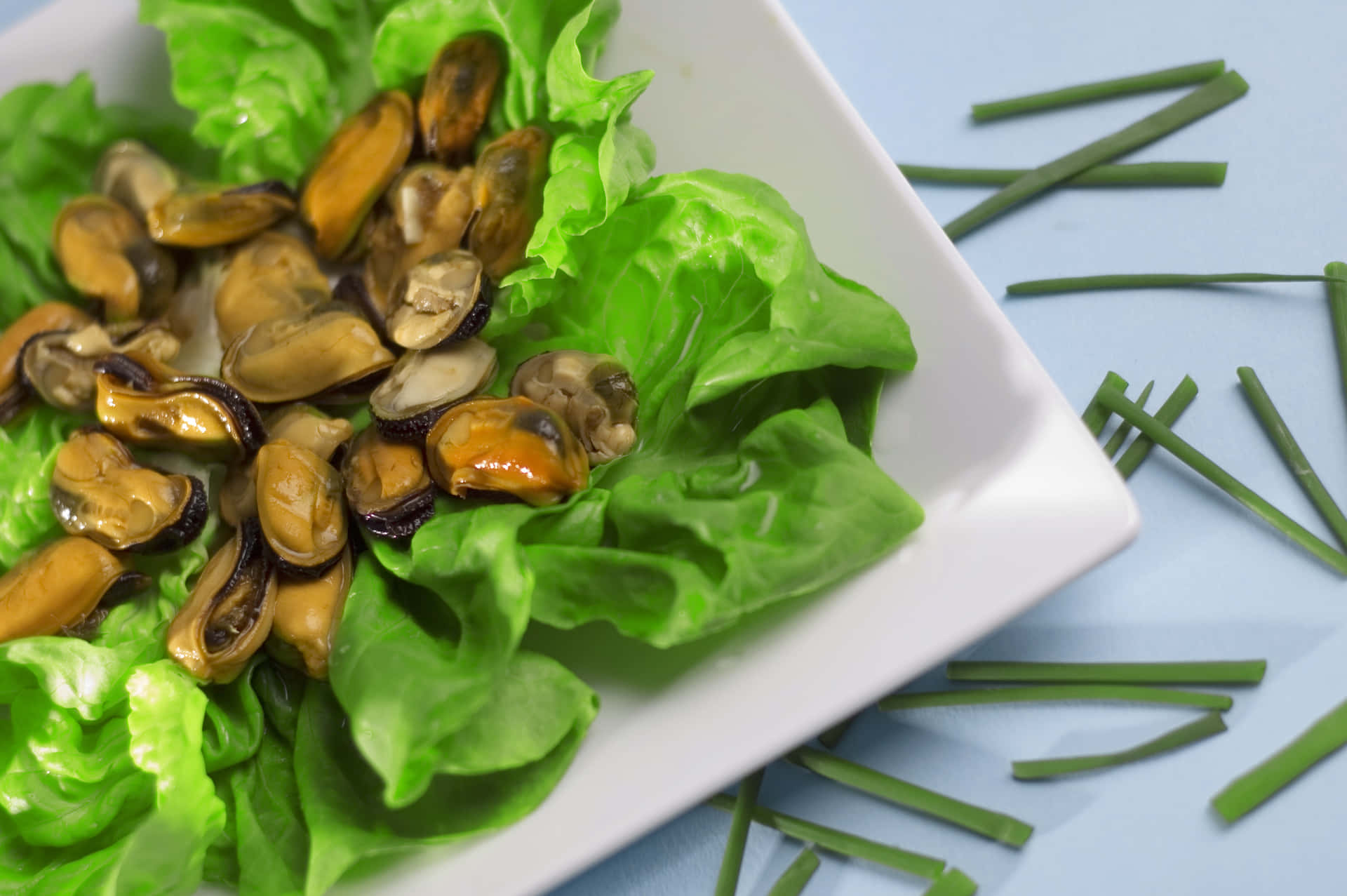 Mussels Lzuulfzb9ieldjmn Wallpaper