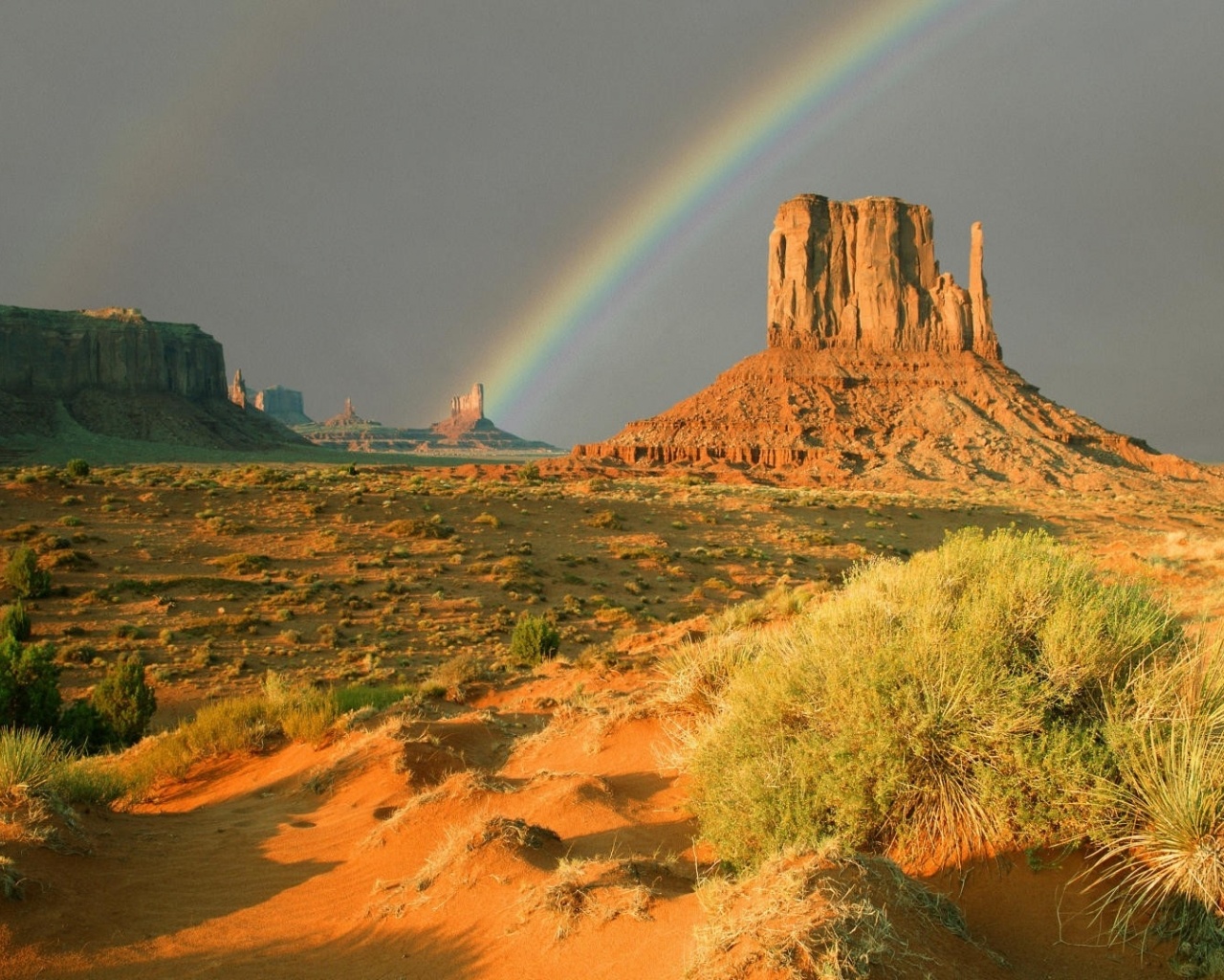 Texas Desert Rainbow Plants Desktop Pc And Mac Wallpaper