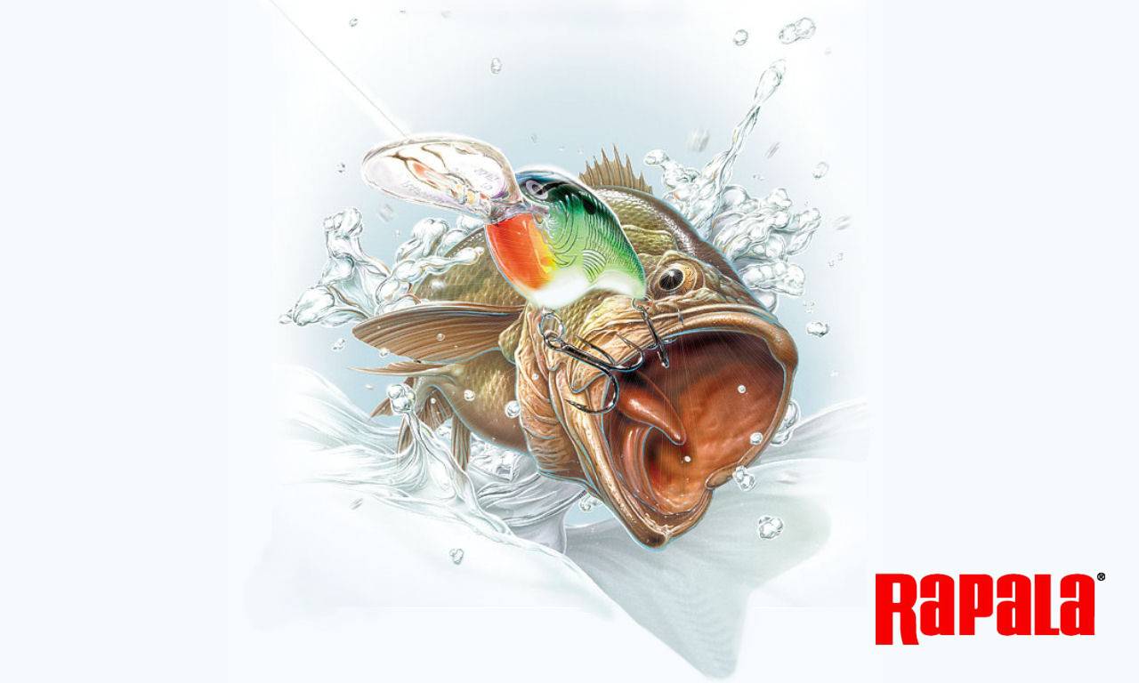Gallery For Gt Rapala Fishing Wallpaper