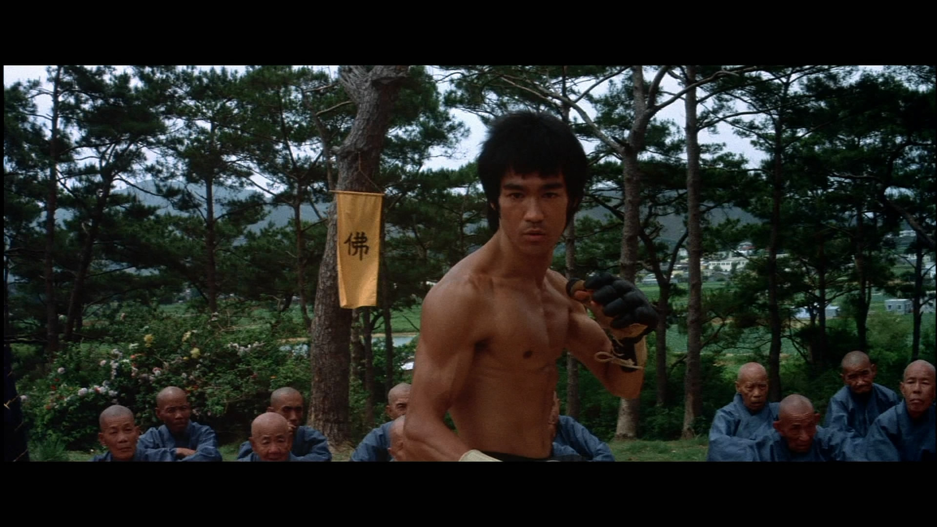 Enter The Dragon Bruce Lee Martial Arts Movie Warrior W