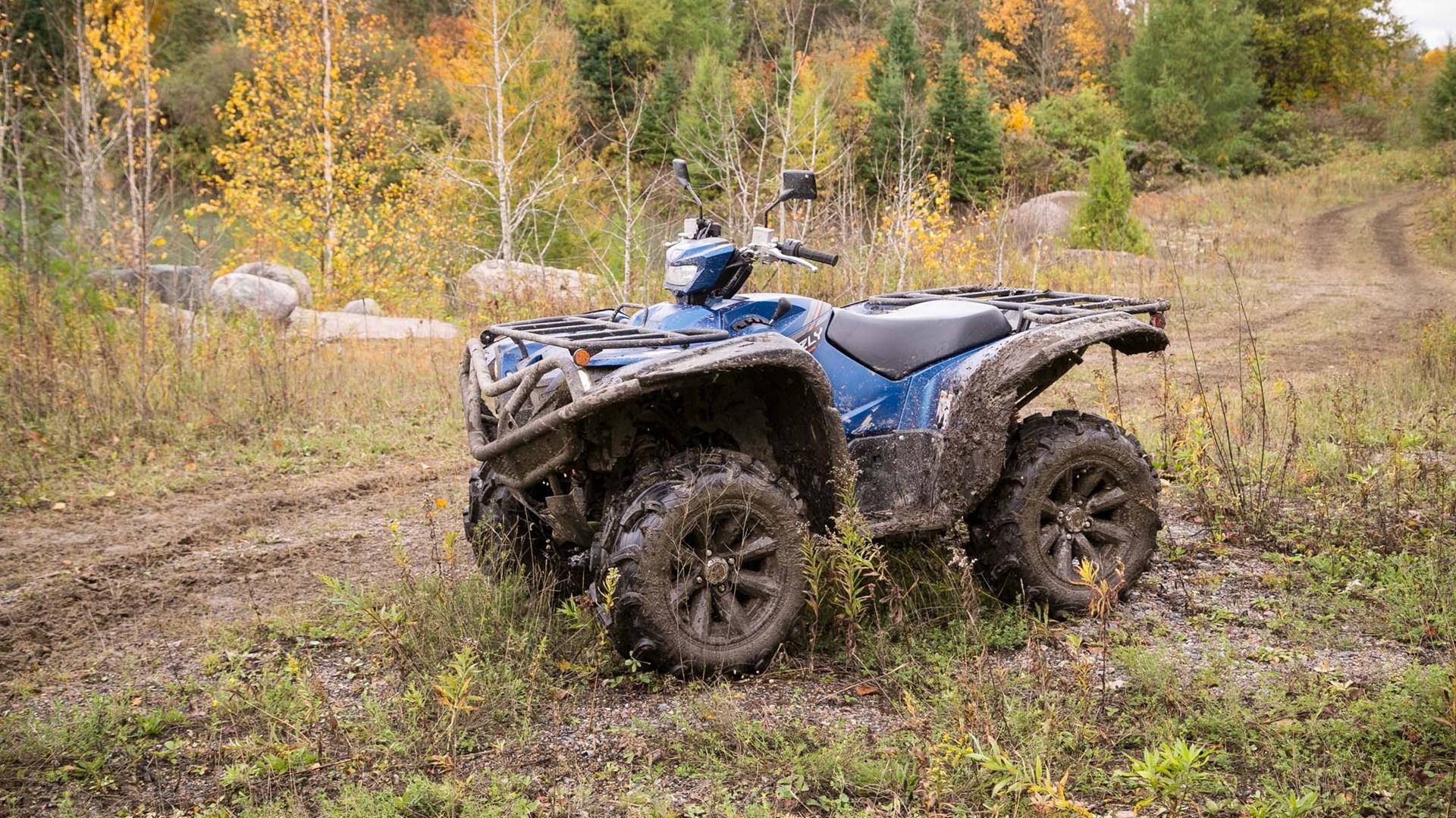 Yamaha Grizzly And Wolverine Atv First Ride Re