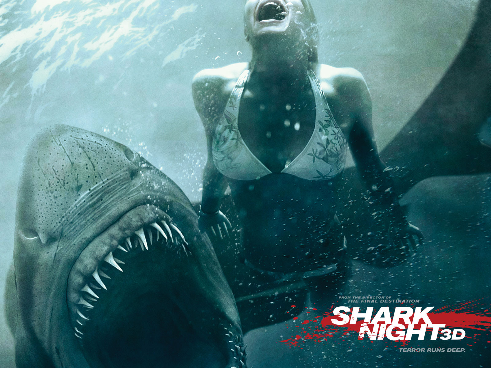 Shark Attack HD Desktop Wallpaper