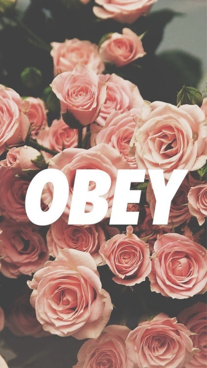 Obey We Heart It