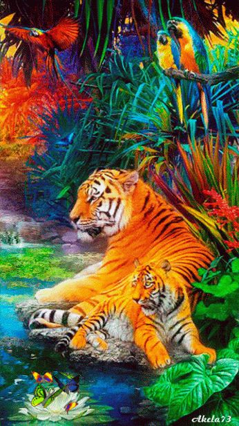 King Of The Jungle Tigers Jungles And Paradise