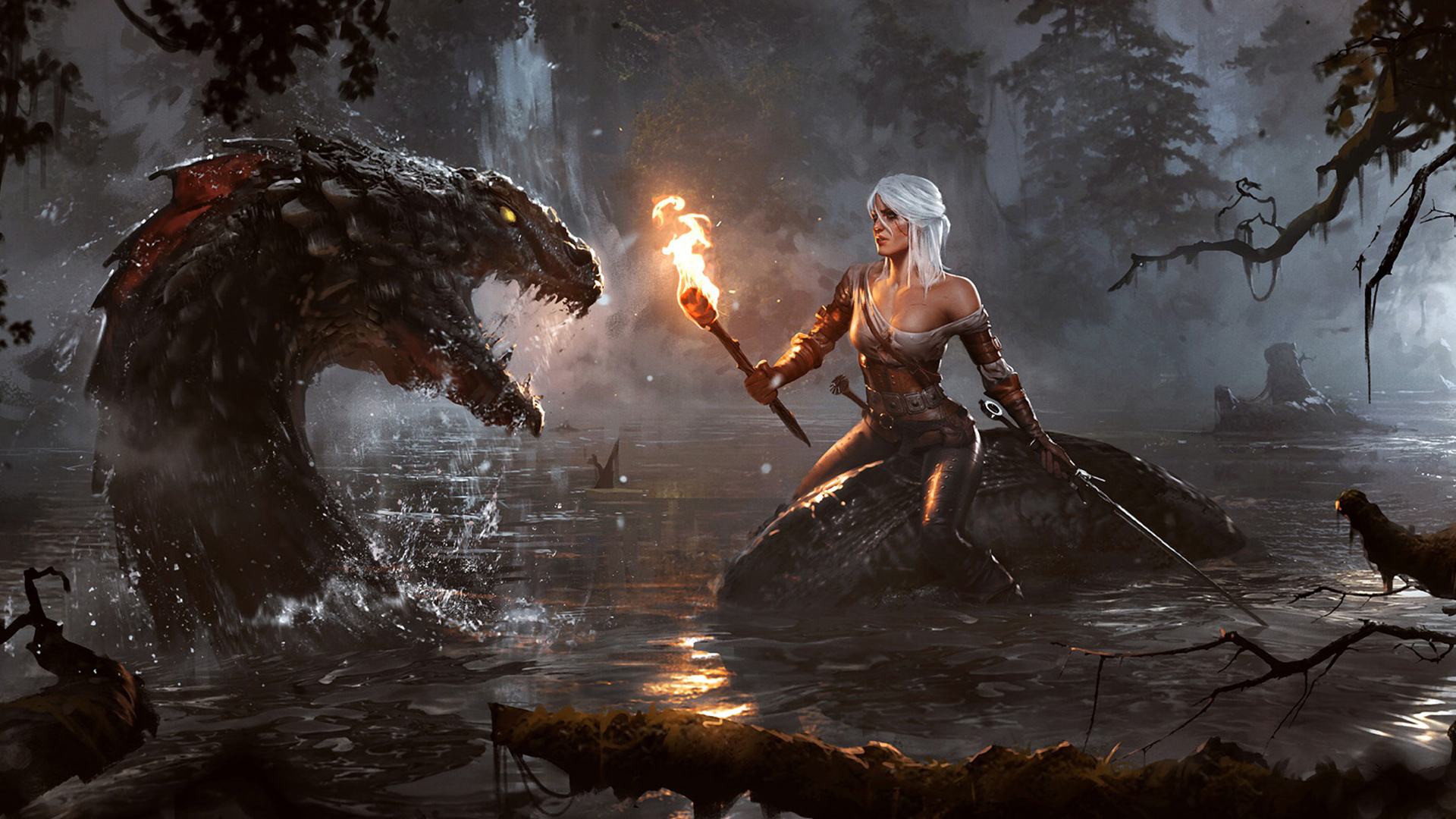 Download Witcher HD Wallpapers TechJeep