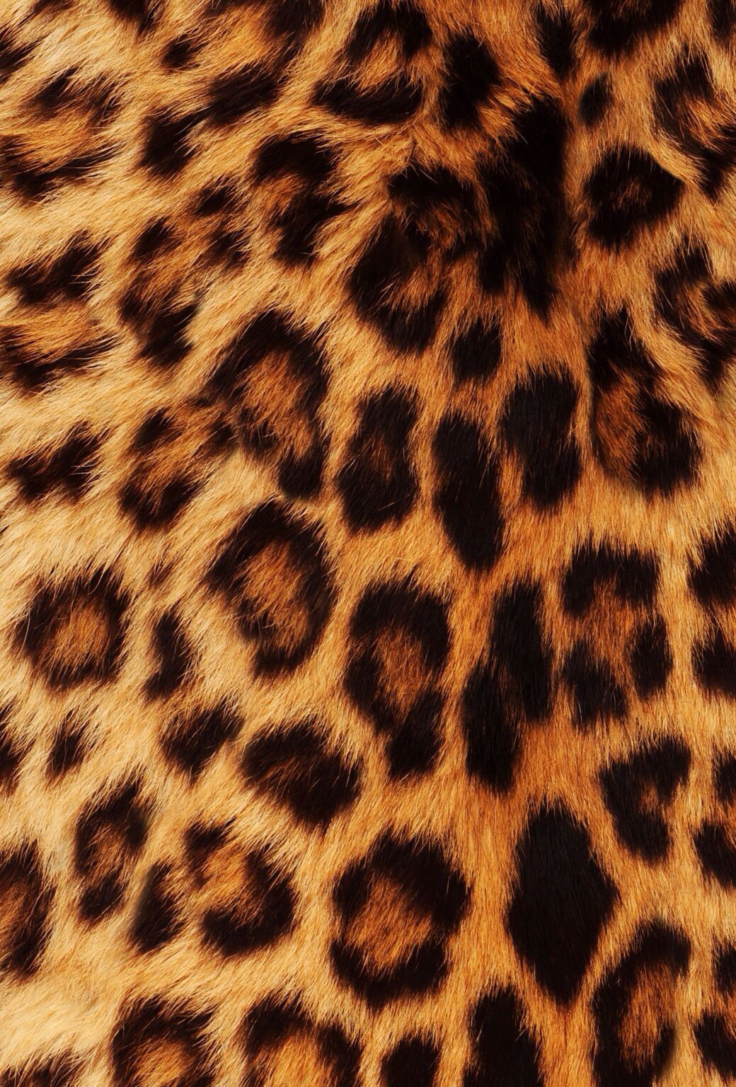 Animal Fur Wallpaper On