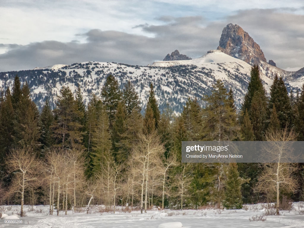 Trail In Teton Canyon With Tetons Background High Res Stock Photo