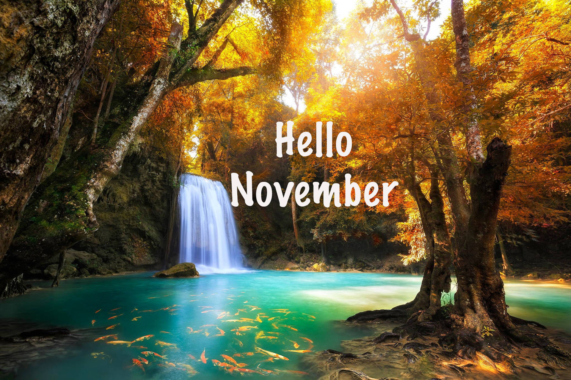 Get The Most Out Of Your November With Sophisticated Yet Wallpaper