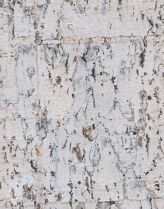 White Birch Cork Wallpaper If Only I Could Find It For Less Than