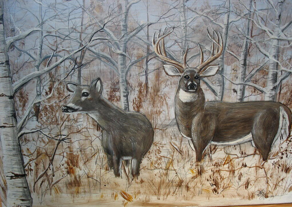 Monster Whitetail Deer Buck Wallpaper And