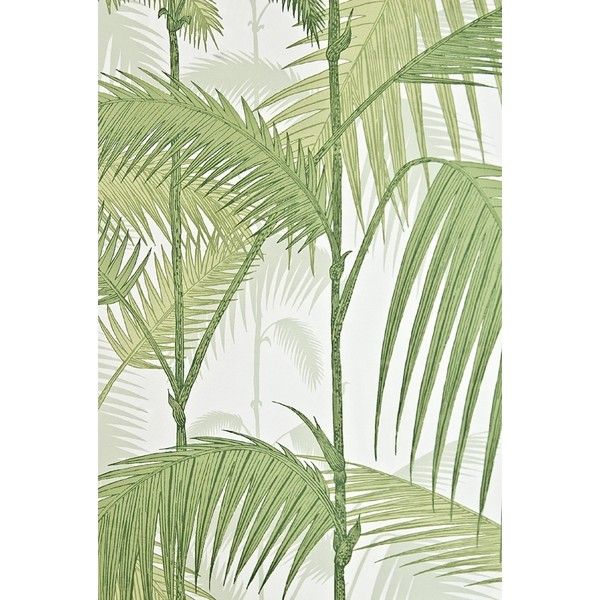 Cole Son Wallpaper Palm Jungle Liked On