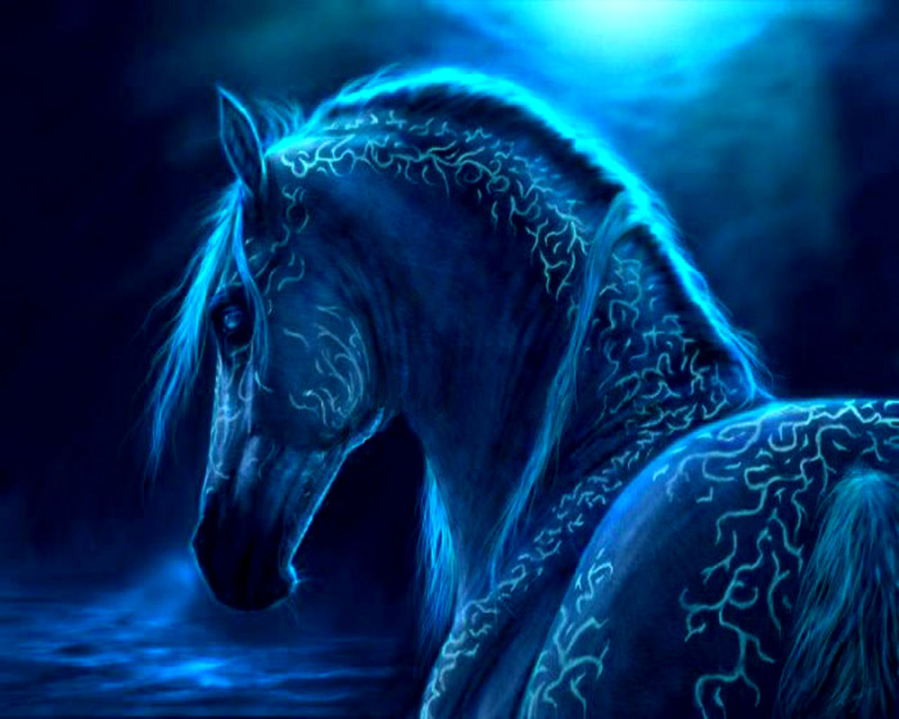 Horse Blue Magical Wallpaper Full HD