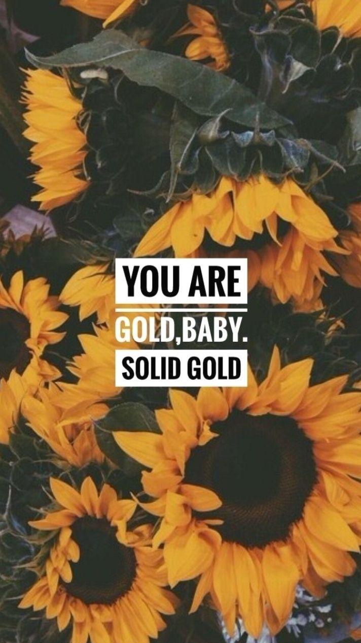 Quotes You Re Gold Sunflower iPhone Wallpaper