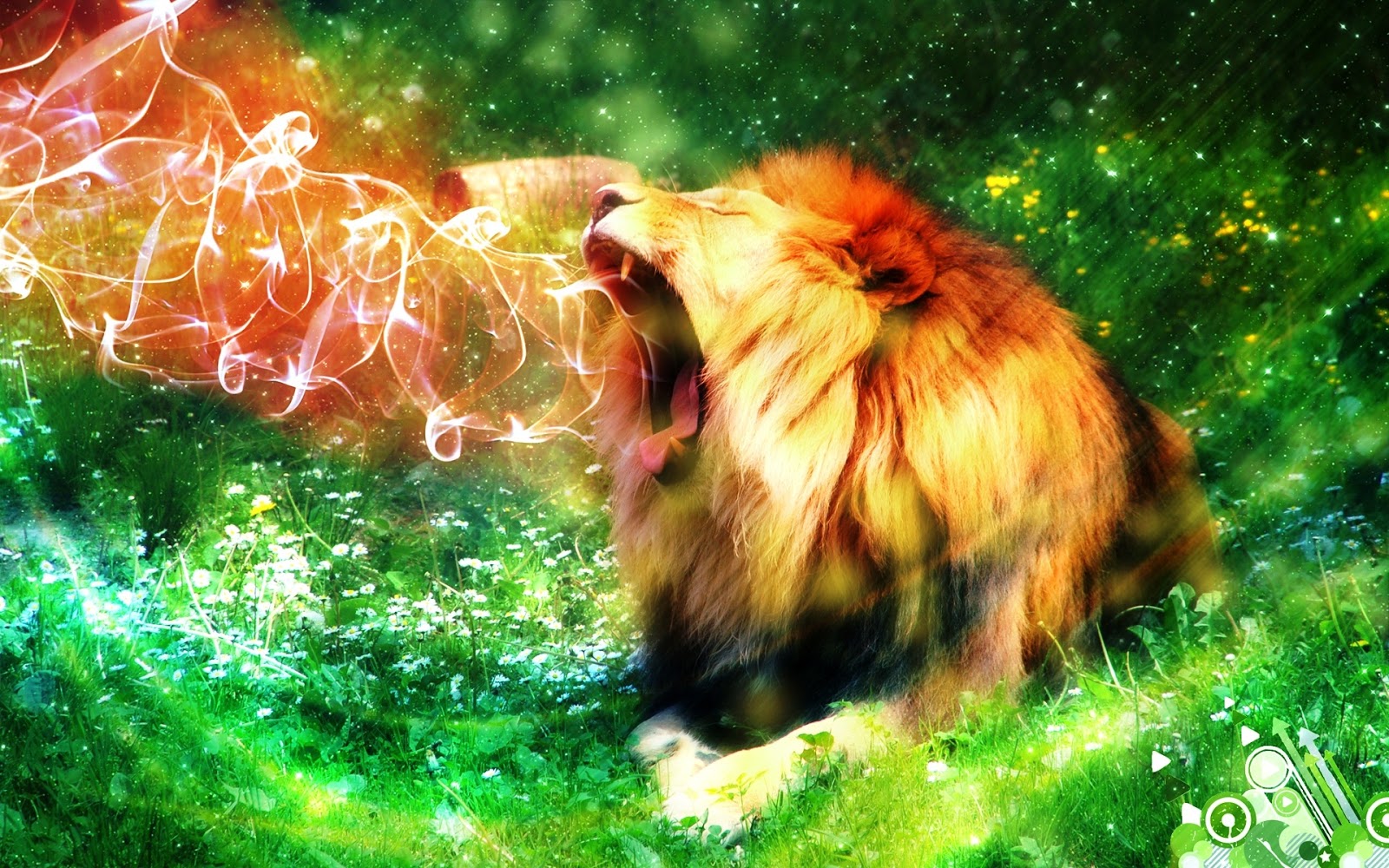 Wallpaper HD Lion Roar